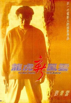 《姐夫的独宠》海报